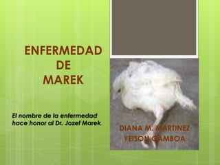 ENFERMEDAD DE MAREK El nombre de la enfermedad hace honor al Dr. Jozef Marek. DIANA M. MARTINEZ YEISON GAMBOA 