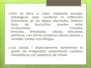 Esto se lleva a cabo mediante estudios histológicos para confirmar la infiltración linfomatosa en los tejidos afectados. Diversos tipos de leucocitos pueden estar involucrados, incluidos linfocitos, linfoblastos, células reticulares primitivas y en forma ocasional células plasma y también células macrófagos.Las células T especialmente determinan el grado de malignidad, presentando cambios neoplásticos con presencia de mitosis.