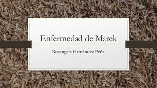 Enfermedad de Marek
Rosangela Hernández Peña
 
