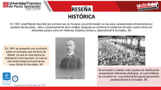 RESEÑA
HISTÓRICA
En 1907 Josef Marek describió por primera vez en Hungría una enfermedad en las aves caracterizada clínicamente por
parálisis de las patas , alas y ocasionalmente de la molleja. Después se confirmó la existencia de este cuadro clínico en
diferentes países como en Holanda, Estados Unidos y Japón(Schat & González, Sf)
En 1941 se presentó una confusión
sobre el concepto que se tenía de
Marek, ya que en esa época se
distinguía como leucosis, el cual es
otra enfermedad tumoral de las
aves (Schat & González, Sf)
Se procedió a realizar más cuadros de clasificación
presentando diferentes etiologías, el cual el Marek
se convierte en una enfermedad aguda generando
parálisis(Schat & González, Sf)
 