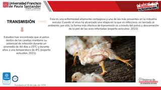 TRANSMISIÓN
Esta es una enfermedad altamente contagiosa y una de las más presentes en la industria
avícola. Cuando el virus ha alcanzado una etapa en la que es infeccioso, es lanzado al
ambiente; por ello, la forma más efectiva de transmisión es a través del polvo y descamación
de la piel de las aves infectadas (experto avilcultor, 2021)
Estudios han encontrado que el polvo
dentro de las casetas mantiene su
potencial de infección durante un
promedio de 44 días a 25ºC y durante
años a una temperatura de 4ºC (experto
avilcultor, 2021).
 