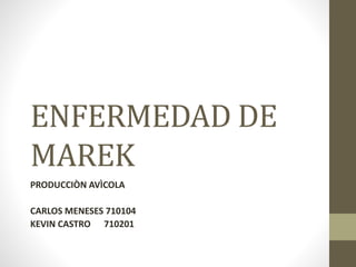 ENFERMEDAD DE
MAREK
PRODUCCIÒN AVÌCOLA
CARLOS MENESES 710104
KEVIN CASTRO 710201
 