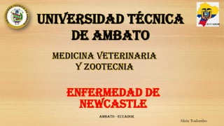 UNIVERSIDAD TÉCNICA
DE AMBATO
ENFERMEDAD DE
NEWCASTLE
ECUADOR
Ambato - Ecuador
MEDICINA VETERINARIA
Y ZOOTECNIA
Alicia Toalombo
 