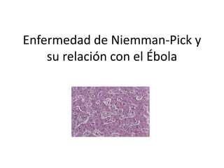 Enfermedad de Niemman-Pick y 
su relación con el Ébola 
 