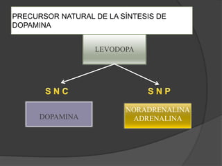 LEVODOPA
DOPAMINA
NORADRENALINA
ADRENALINA
PRECURSOR NATURAL DE LA SÍNTESIS DE
DOPAMINA
 