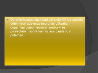  Durante la segunda mitad del siglo XX fue posible
determinar que esas neuronas utilizaban
dopamina como neurotransmisor y se
proyectaban sobre los núcleos caudado y
putamen.
 