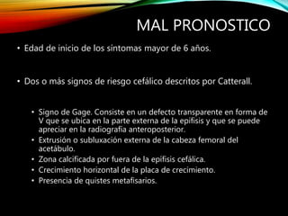 MAL PRONOSTICO
• Edad de inicio de los síntomas mayor de 6 años.
• Dos o más signos de riesgo cefálico descritos por Catterall.
• Signo de Gage. Consiste en un defecto transparente en forma de
V que se ubica en la parte externa de la epífisis y que se puede
apreciar en la radiografía anteroposterior.
• Extrusión o subluxación externa de la cabeza femoral del
acetábulo.
• Zona calcificada por fuera de la epífisis cefálica.
• Crecimiento horizontal de la placa de crecimiento.
• Presencia de quistes metafisarios.
 