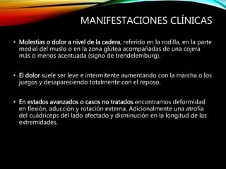 MANIFESTACIONES CLÍNICAS
• Molestias o dolor a nivel de la cadera, referido en la rodilla, en la parte
medial del muslo o en la zona glútea acompañadas de una cojera
más o menos acentuada (signo de trendelemburg).
• El dolor suele ser leve e intermitente aumentando con la marcha o los
juegos y desapareciendo totalmente con el reposo.
• En estados avanzados o casos no tratados encontramos deformidad
en flexión, aducción y rotación externa. Adicionalmente una atrofia
del cuádriceps del lado afectado y disminución en la longitud de las
extremidades.
 