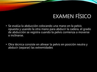 EXAMEN FÍSICO
• Se evalúa la abducción colocando una mano en la pelvis
opuesta y usando la otra mano para abducir la cadera, el grado
de abducción se registra cuando la pelvis comienza a moverse
o inclinarse.
• Otra técnica consiste en alinear la pelvis en posición neutra y
abducir (separar) las extremidades
 
