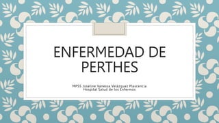 ENFERMEDAD DE
PERTHES
MPSS Joseline Vanessa Velázquez Plascencia
Hospital Salud de los Enfermos
 