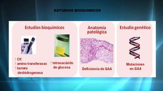 ESTUDIOS BIOQUIMICOS
 
