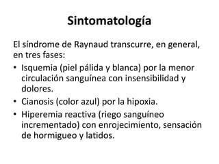 Sintomatología
El síndrome de Raynaud transcurre, en general,
en tres fases:
• Isquemia (piel pálida y blanca) por la menor
circulación sanguínea con insensibilidad y
dolores.
• Cianosis (color azul) por la hipoxia.
• Hiperemia reactiva (riego sanguíneo
incrementado) con enrojecimiento, sensación
de hormigueo y latidos.
 