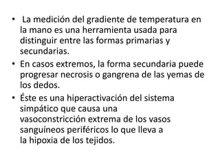 • La medición del gradiente de temperatura en
la mano es una herramienta usada para
distinguir entre las formas primarias y
secundarias.
• En casos extremos, la forma secundaria puede
progresar necrosis o gangrena de las yemas de
los dedos.
• Éste es una hiperactivación del sistema
simpático que causa una
vasoconstricción extrema de los vasos
sanguíneos periféricos lo que lleva a
la hipoxia de los tejidos.
 