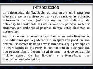 INTRODUCCIÓN
La enfermedad de Tay-Sachs es una enfermedad rara que
afecta al sistema nervioso central y es de carácter hereditario,
autosómico recesivo (más común en descendientes de
hebreos). Generalmente los recién nacidos parecen no tener
síntomas, sin embargo al pasar el tiempo estos síntomas se
desarrollan.
Se trata de una enfermedad de almacenamiento lisosómico.
Los individuos que la padecen son incapaces de producir una
enzima lisosómica llamada hexosaminidasa-A que participa en
la degradación de los gangliósidos, un tipo de esfingolípido,
que se acumulan y degeneran al sistema nervioso central. Se
incluye dentro de las lipidosis o enfermedades por
almacenamiento de lípidos.
 