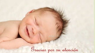 Gracias por su atención 
