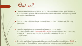 Qué es? 
 La enfermedad de Tay-Sachs es un trastorno hereditario, poco común 
la cual causa que un exceso de lípido se acumule en los tejidos y en las 
neuronas del cerebro. 
 Esta acumulación destruye las neuronas y causa problemas físicos y 
mentales. 
 La enfermedad ocurre cuando el cuerpo carece de 
una proteína llamada hexosaminidasa A, que ayuda a descomponer 
un químico que se encuentra en el tejido nervioso, llamado 
gangliósidos. 
 Sin esta proteína, los gangliósidos, en particular los gangliósidos GM2, se 
acumulan en las células, especialmente las neuronas en el cerebro. 
 