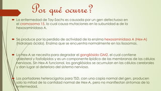 Por qué ocurre? 
 La enfermedad de Tay-Sachs es causada por un gen defectuoso en 
el cromosoma 15, lo cual causa mutaciones en la subunidad de la 
hexosaminidasa A. 
 Se produce por la perdida de actividad de la enzima hexosaminidasa A (Hex-A) 
(hidrolasa ácida). Enzima que se encuentra normalmente en los lisosomas. 
 La Hex-A se necesita para degradar el gangliósido GM2, el cual contiene 
colesterol y fosfolípidos y es un componente lipídico de las membranas de las células 
nerviosas. Sin Hex-A funcional, los gangliósidos se acumulan en las células cerebrales 
y dan lugar al deterioro del sistema nervioso. 
 Los portadores heterocigotos para TSD, con una copia normal del gen, producen 
solo la mitad de la cantidad normal de Hex-A, pero no manifiestan síntomas de la 
enfermedad. 
 