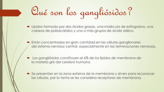 Qué son los gangliósidos? 
 Lípidos formado por dos ácidos grasos, una molécula de esfingosina, una 
cabeza de polisacáridos y uno o más grupos de ácido siálico. 
 Están concentrados en gran cantidad en las células ganglionares 
del sistema nervioso central, especialmente en las terminaciones nerviosas. 
 Los gangliósidos constituyen el 6% de los lípidos de membrana de 
la materia gris del cerebro humano. 
 Se presentan en la zona externa de la membrana y sirven para reconocer 
las células, por lo tanto se les considera receptores de membrana. 
 