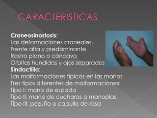 Craneosinostosis:
Las deformaciones craneales.
Frente alta y predominante
Rostro plano o cóncavo
Orbitas hundidas y ojos separados
Sindactilia:
Las malformaciones típicas en las manos
Tres tipos diferentes de malformaciones:
Tipo I: mano de espada
Tipo II: mano de cucharas o manoplas
Tipo III: pezuña o capullo de rosa
 