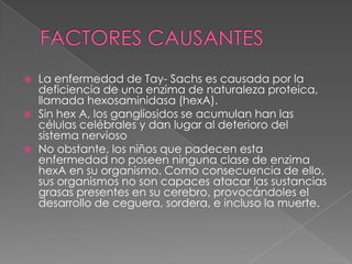  La enfermedad de Tay- Sachs es causada por la
deficiencia de una enzima de naturaleza proteica,
llamada hexosaminidasa (hexA).
 Sin hex A, los gangliosidos se acumulan han las
células celébrales y dan lugar al deterioro del
sistema nervioso
 No obstante, los niños que padecen esta
enfermedad no poseen ninguna clase de enzima
hexA en su organismo. Como consecuencia de ello,
sus organismos no son capaces atacar las sustancias
grasas presentes en su cerebro, provocándoles el
desarrollo de ceguera, sordera, e incluso la muerte.
 