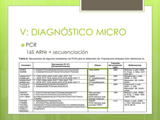 V: DIAGNÓSTICO MICRO
 PCR
16S ARNr + secuenciación
 Cultivo + secuenciación
 