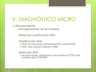 V: DIAGNÓSTICO MICRO
 Procesamiento
o Homogenización de las muestras
o Extracción y purificación ADN
o Amplificación ADN
 PCR convencional, seminested-PCR, nested-PCR
 PCR t real: sondas Taqman y FRET
o Detección ADN
 Secuenciación, hibridación con sondas en PCR t real,
southern-blot, PCR-RFLP
 