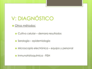 V: DIAGNÓSTICO
 Otros métodos:
 Cultivo celular – demora resultados
 Serología – epidemiología
 Microscopía electrónica – equipo y personal
 Inmunohistoquímica - FISH
 
