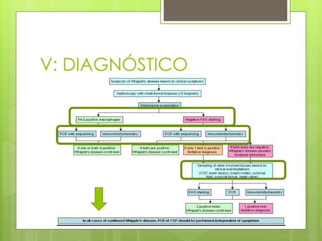 Enfermedad de Whipple PPT