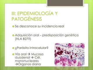 III: EPIDEMIOLOGÍA Y
PATOGÉNESIS
 Se desconoce su incidencia real
 Adquisición oral – predisposición genética
(HLA B27?)
 ¿Parásito intracelular?
 Vía oral  Mucosa
duodenal  Cél.
mononucleares
Órganos diana
 