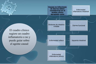 Causas no infecciosas
de diarrea deben
considerarse en el
ámbito clínico
apropiado como
Enfermedad
inflamatoria intestinal
Síndrome de intestino
irritable
Diarrea funcional
Enfermedad celíaca Isquemia intestinal
Enfermedad
inflamatoria pélvica
El cuadro clínico
sugiere un cuadro
inflamatorio o no y
puede guiar sobre
el agente causal
 