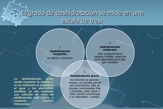 El grado de deshidratación se mide en una
escala de tres:
1
Deshidratación
incipiente:
sin signos ni síntomas.
3.
Deshidratación grave:
los síntomas se agravan;
choque, con pérdida parcial
del conocimiento, falta de
diuresis, extremidades frías
y húmedas, pulso rápido y
débil, tensión arterial baja
o no detectable, y palidez.
2.
Deshidratación
moderada:
sed; comportamiento
inquieto irritable; reducción
de la elasticidad de la piel;
ojos hundidos.
La deshidratación grave
puede ocasionar la muerte si
no se restituyen al organismo
el agua y los electrolitos
perdidos, ya sea mediante
una solución de sales de
rehidratación oral (SRO), o
mediante infusión
intravenosa
 