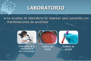  La pruebas de laboratorio se reservan para pacientes con
manifestaciones de severidad
Evaluación de la
materia fecal
con microscopio
Cultivo de
heces
Análisis de
sangre
 