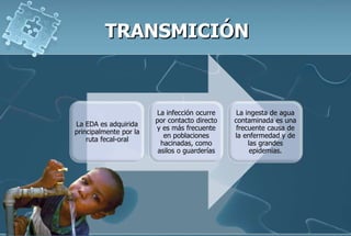 La EDA es adquirida
principalmente por la
ruta fecal-oral
La infección ocurre
por contacto directo
y es más frecuente
en poblaciones
hacinadas, como
asilos o guarderías
La ingesta de agua
contaminada es una
frecuente causa de
la enfermedad y de
las grandes
epidemias.
 