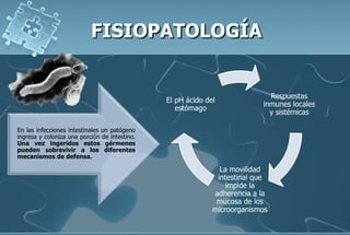 En las infecciones intestinales un patógeno
ingresa y coloniza una porción de intestino.
Una vez ingeridos estos gérmenes
pueden sobrevivir a los diferentes
mecanismos de defensa.
Respuestas
inmunes locales
y sistémicas
La movilidad
intestinal que
impide la
adherencia a la
mucosa de los
microorganismos
El pH ácido del
estómago
 