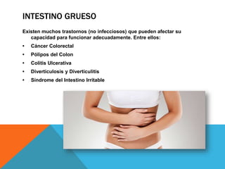 INTESTINO GRUESO
Existen muchos trastornos (no infecciosos) que pueden afectar su
capacidad para funcionar adecuadamente. Entre ellos:
• Cáncer Colorectal
• Pólipos del Colon
• Colitis Ulcerativa
• Diverticulosis y Diverticulitis
• Síndrome del Intestino Irritable
 