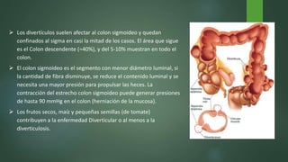  Los divertículos suelen afectar al colon sigmoideo y quedan
confinados al sigma en casi la mitad de los casos. El área que sigue
es el Colon descendente (≈40%), y del 5-10% muestran en todo el
colon.
 El colon sigmoideo es el segmento con menor diámetro luminal, si
la cantidad de fibra disminuye, se reduce el contenido luminal y se
necesita una mayor presión para propulsar las heces. La
contracción del estrecho colon sigmoideo puede generar presiones
de hasta 90 mmHg en el colon (herniación de la mucosa).
 Los frutos secos, maíz y pequeñas semillas (de tomate)
contribuyen a la enfermedad Diverticular o al menos a la
diverticulosis.
 