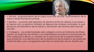 • • Micosis - engrosamiento de la capa muscular circular, acortamiento de la
tenia y estrechamiento luminal.
• • Elastina - aumento del depósito de elastina entre las células musculares y
la taenia coli. La elastina también se dispone de manera contraida, lo que
produce acortamiento de la taenia y formación de racimos del músculo
circular.
• • Colágeno - Las enfermedades del colágeno como el síndrome de Ehlers-
Danlos, el síndrome de Marfan y la enfermedad autosómica dominante de
riñón poliquístico llevan a cambios en la estructura de la pared intestinal
que producen una disminución de la resistencia de la pared a las presiones
intraluminales y por consiguiente permiten la protrusión de los divertículos.
 