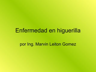 Enfermedad en higuerilla
por Ing. Marvin Leiton Gomez
 