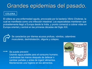 Grandes epidemias del pasado. CÓLERA. El cólera es una enfermedad aguda, provocada por la bacteria  Vibrio Cholerae , la cual se manifiesta como una infección intestinal. Los especialistas mantienen que probablemente llegó a Europa desde la India, y pronto comenzó a cobrar vidas en Europa oriental y central en las primeras décadas del Siglo XIX.  Se caracteriza por diarrea acuosa profusa, vómitos, calambres musculares, deshidratación, oliguria y colapso.  Se puede prevenir: Usando agua potable para el consumo humano. Lavándose las manos después de defecar o cambiar pañales y antes de ingerir alimentos. Manteniendo una higiene en los alimentos. 