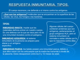 RESPUESTA INMUNITARIA. TIPOS. El cuerpo reconoce y se defiende a sí mismo contra los antígenos. ¿Qué son los antígenos?  moléculas que se encuentran en la superficie de las células, los virus, los hongos o las bacterias. Algunas células del cuerpo contienen proteínas que son antígenos, pertenecientes al grupo antígenos HLA, pero el sistema inmunitario ve normales a estas células por lo que no reacciona contra ellas. TIPOS: INMUNIDAD INNATA : impide que los materiales dañinos entren en nuestro cuerpo. Es una defensa con la que se nace pero no es una inmunidad duradera contra el patógeno. INMUNIDAD ADQUIRIDA : el sistema inmunitario de la persona se prepara para atacar a un antígeno específico. INMUNIDAD PASIVA : los bebés poseen una inmunidad pasiva, debido a que ellos nacen con los anticuerpos que la madre les transmite a través de la placenta. Estos desaparecen entre los 6 y 12 meses de edad. 