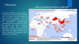 Influenza
•En abril del 2009 fue reportado a
la OMS informes de seres humanos
con un nuevo virus de gripe de
tipo A H1N1 en México y EUA. El
virus fue propagado en menos de
9 semanas declarándose
pandemia en junio del mismo año.
En enero de 2014, Canadá
informó acerca de la primera
infección en seres humanos por el
virus H5N1 de origen asiático de la
forma altamente patógena de la
influenza en América.
Áreas con incidencia de influenza confirmada
 
