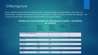 Chikungunya
•Es un alfavirus encontrado ampliamente a través de África subsahariana, Asia del sur y
sudoriental,. Aislado por primera vez en Tanzanía en 1953, durante un brote de dengue. Sus
causas se asemejan al dengue ocasionando una grave fiebre.
País/territorio Casos de
transmisión
autóctona
(sospechosos)
Casos de
transmisión
autóctona
(confirmados)
Casos
Importados
Fallecimientos
ISTMO CENTROAMERICANO
Belice
Costa Rica 142
El salvador 23811 13
Guatemala 7342 522 1
Honduras 49162 5
Nicaragua 17946 2235
PANAMÁ 13 13
TOTAL 98261 2930 13 1
Números de casos reportados de Chikungunya en países de territorios
de América
 