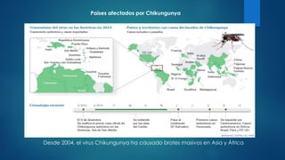 Países afectados por Chikungunya
Desde 2004, el virus Chikungunya ha causado brotes masivos en Asia y África
 