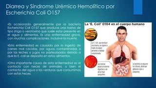 Diarrea y Síndrome Urémico Hemolítico por
Escherichia Coli O157
•Es ocasionado generalmente por la bacteria
Escherichia Coli O157 que produce una toxina de
tipo shiga o verotoxina que suele estar presente en
el agua y alimentos. Es una enfermedad grave,
con muchas complicaciones, inclusive la muerte.
•Esta enfermedad es causada por la ingesta de
carnes mal cocidas, por aguas contaminadas o
por las leches o jugos no pasteurizados debido a
que la E. coli se deposita en estos alimentos.
•Otra importante causa de esta enfermedad es el
contacto con heces de animales, o bien el
contacto del agua o las verduras que consumimos
con estas heces.
 
