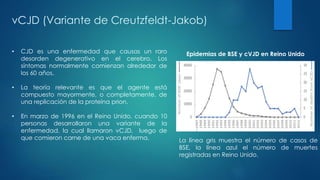 vCJD (Variante de Creutzfeldt-Jakob)
Epidemias de BSE y cVJD en Reino Unido• CJD es una enfermedad que causas un raro
desorden degenerativo en el cerebro. Los
síntomas normalmente comienzan alrededor de
los 60 años.
• La teoría relevante es que el agente está
compuesto mayormente, o completamente, de
una replicación de la proteína prion.
• En marzo de 1996 en el Reino Unido, cuando 10
personas desarrollaron una variante de la
enfermedad, la cual llamaron vCJD, luego de
que comieron carne de una vaca enferma. La línea gris muestra el número de casos de
BSE, la línea azul el número de muertes
registradas en Reino Unido.
 