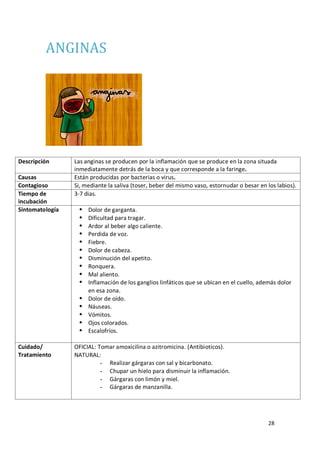 28
ANGINAS
Descripción Las anginas se producen por la inflamación que se produce en la zona situada
inmediatamente detrás de la boca y que corresponde a la faringe.
Causas Están producidas por bacterias o virus.
Contagioso Si, mediante la saliva (toser, beber del mismo vaso, estornudar o besar en los labios).
Tiempo de
incubación
3-7 dias.
Sintomatología  Dolor de garganta.
 Dificultad para tragar.
 Ardor al beber algo caliente.
 Perdida de voz.
 Fiebre.
 Dolor de cabeza.
 Disminución del apetito.
 Ronquera.
 Mal aliento.
 Inflamación de los ganglios linfáticos que se ubican en el cuello, además dolor
en esa zona.
 Dolor de oído.
 Náuseas.
 Vómitos.
 Ojos colorados.
 Escalofríos.
Cuidado/
Tratamiento
OFICIAL: Tomar amoxicilina o azitromicina. (Antibioticos).
NATURAL:
- Realizar gárgaras con sal y bicarbonato.
- Chupar un hielo para disminuir la inflamación.
- Gárgaras con limón y miel.
- Gárgaras de manzanilla.
 
