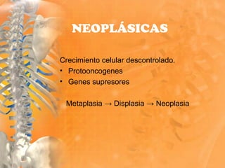 Crecimiento celular descontrolado.
• Protooncogenes
• Genes supresores
Metaplasia → Displasia → Neoplasia
NEOPLÁSICAS
 