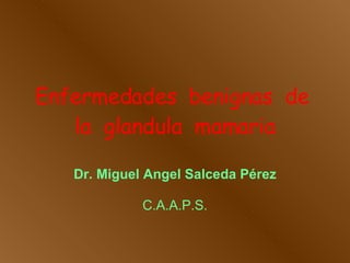 Enfermedades  benignas  de  la  glandula  mamaria Dr. Miguel Angel Salceda Pérez C.A.A.P.S. 