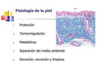 Fisiología de la piel


1.     Protección

3.     Termorregulación

5.     Metabólicas

7.     Separación del medio ambiente

9.     Secreción, excreción y limpieza
 