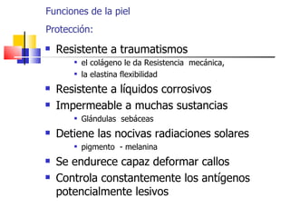 Funciones de la piel
Protección:
   Resistente a traumatismos
          el colágeno le da Resistencia mecánica,
          la elastina flexibilidad
   Resistente a líquidos corrosivos
   Impermeable a muchas sustancias
          Glándulas sebáceas
   Detiene las nocivas radiaciones solares
          pigmento - melanina
   Se endurece capaz deformar callos
   Controla constantemente los antígenos
    potencialmente lesivos
 